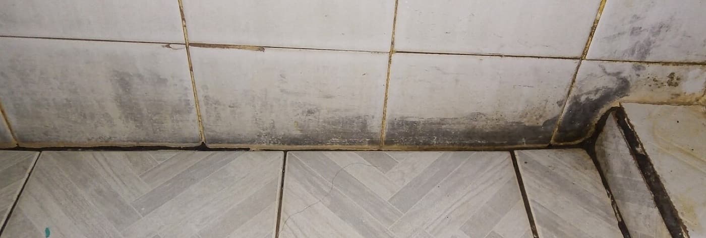 Black mold along the grout line and floor-to-wall joint of a tiled bathroom
