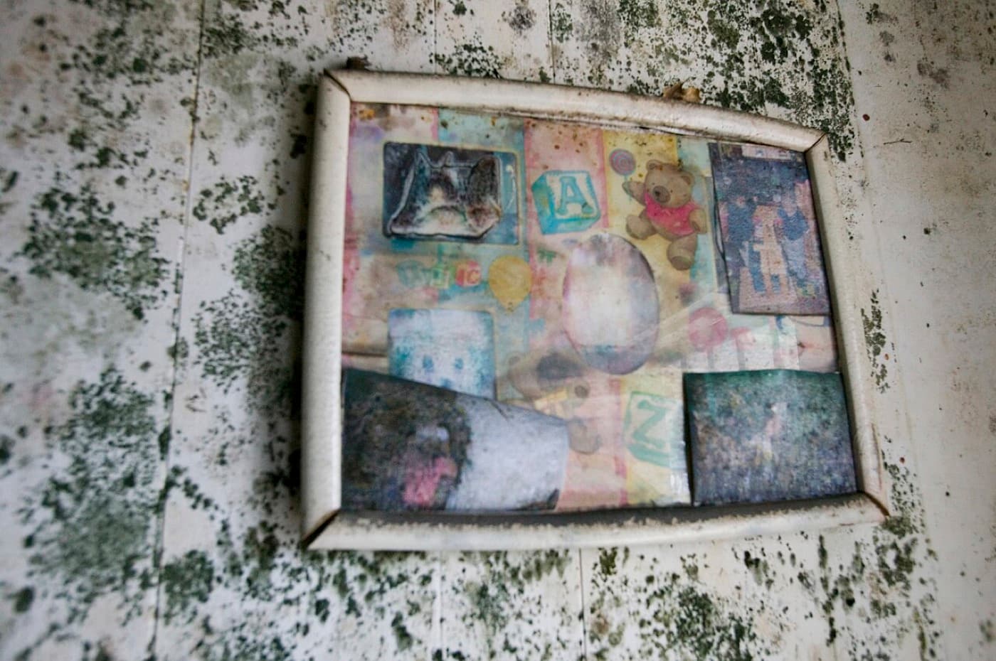 Close-up of a painted interior wall covered in dense black and green mold speckling around a picture frame